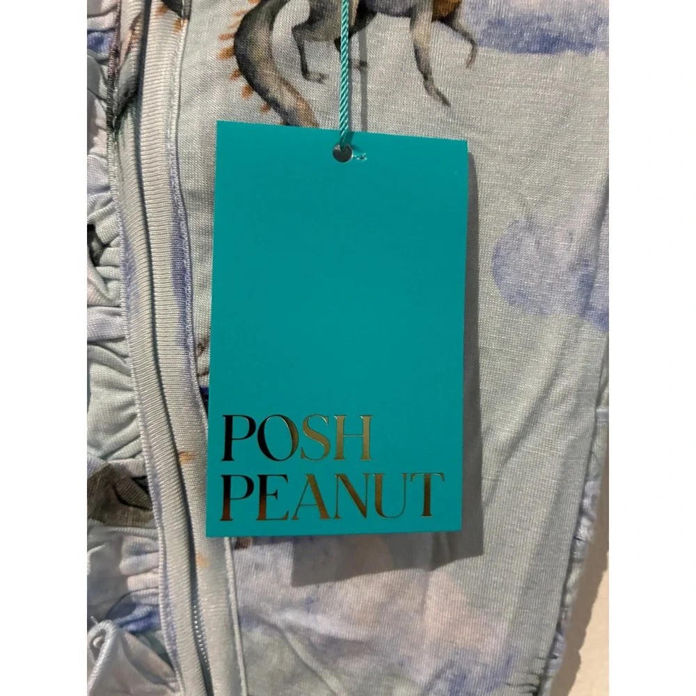 Posh Peanut Percy Dragon Bamboo Ruffle Footie Pajamas Blue 3-6 Months NWT